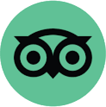 TripAdvisor icon